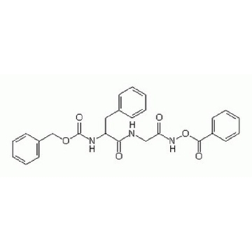 组织蛋白酶抑制剂I，1MG，219415-1MGCN，Sigma