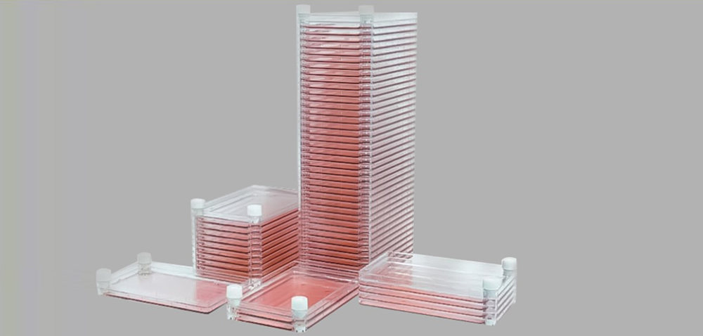 细胞工厂，1层，335 x 205 x 36 mm，632cm2，TC处理，灭菌，6/箱，CL-MC01，铂杰