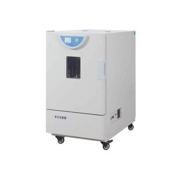 老化试验箱 ，控温范围：RT+20~250℃，换气量：0~200次/小时（可调），内胆尺寸600×600×600mm，BHO-402A，一恒